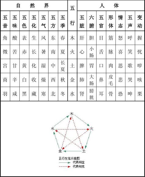 五行表格|五行归类表完整版合集